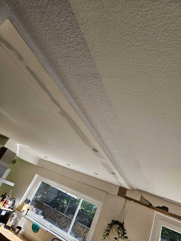 Pro Builder Tapezieren